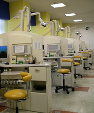 ������C���v�����g�E�R�����ȃK�C�h